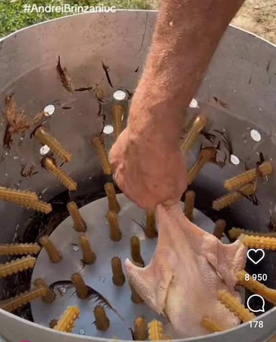 Тауық, қаз, үйрек жұлатын аппарат