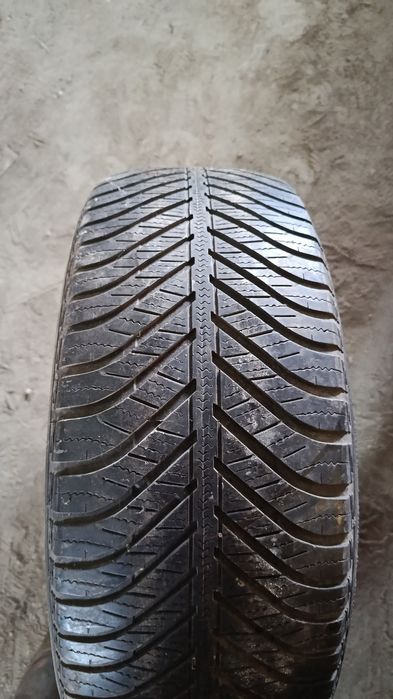 Одиночки 225/55/16
