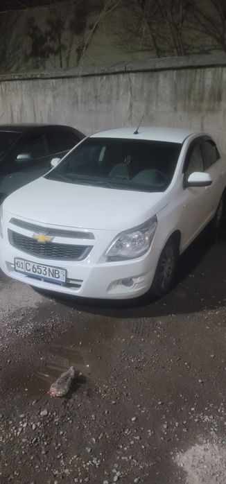 Кобальт 2014 аренда