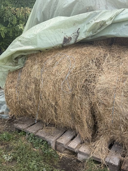 Vand baloti mari sau mici