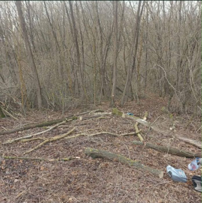 Curățări terenuri