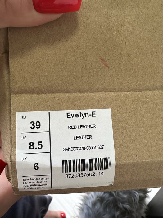 Високи обувки Steve Madden