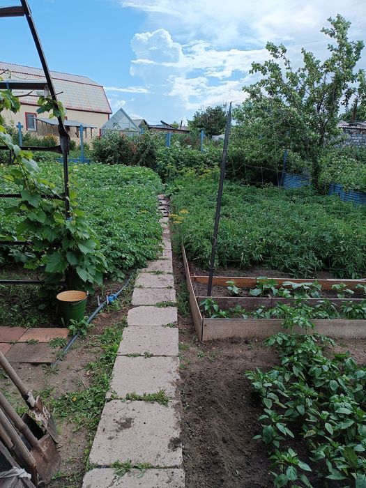 Продам  дом  срочно