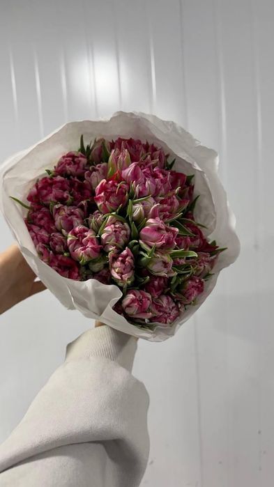 Тюльпаны из Голландии к 14 февраля — доставка по Ташкенту