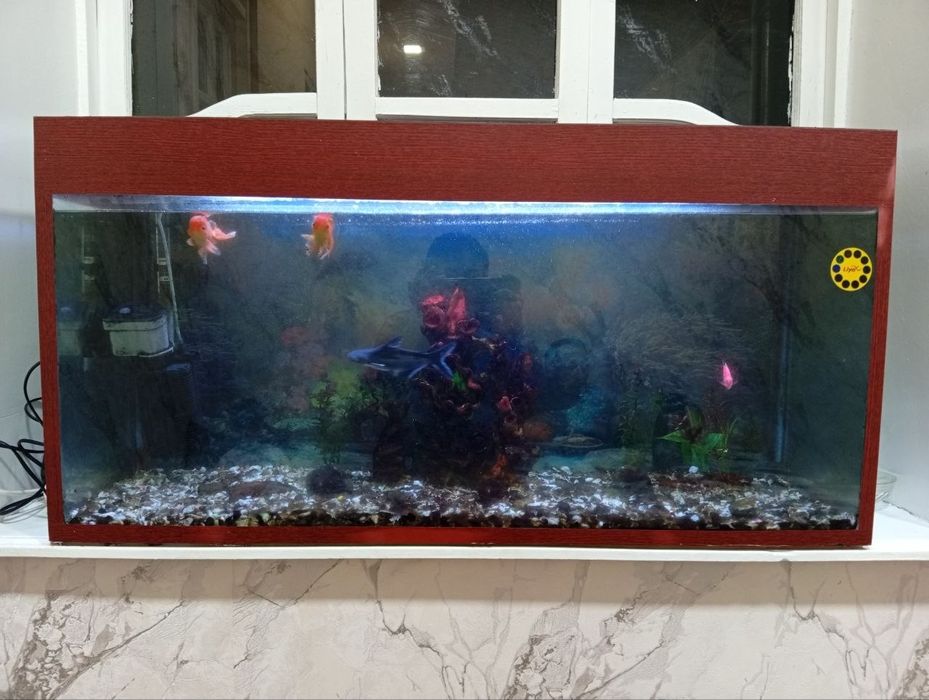 Продается аквариум со всеми принадлежностями