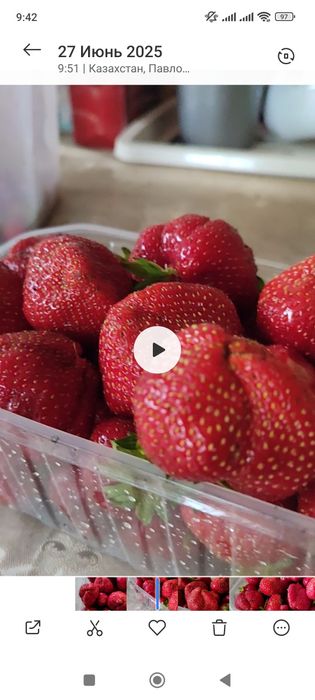 Продам рассаду клубники более 15 сортов