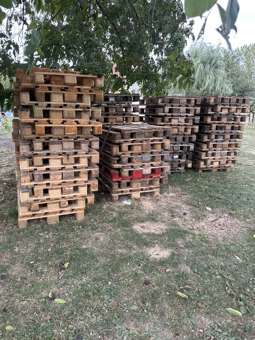 Vand paleti euro si non euro pentru folosinta