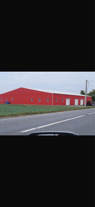 Hala de vanzare sau inchiriere