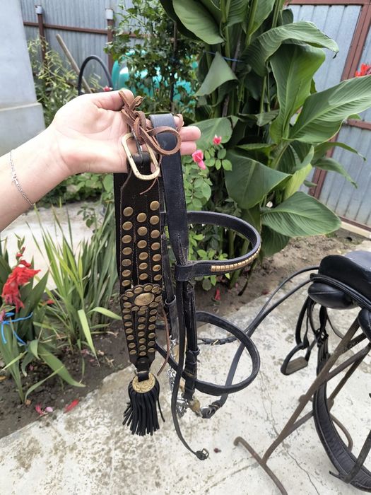 Vand şa pentru echitatie