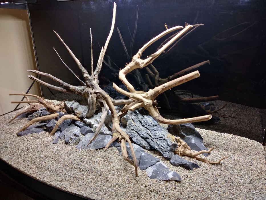 Аквариум Diversa