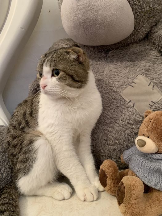 Хорошие руки!