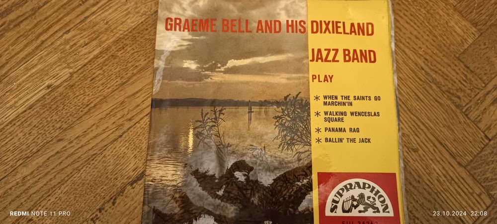 Disc vinyl străine și românești