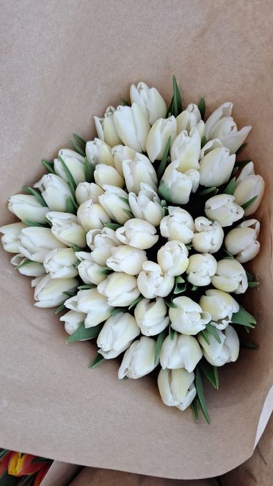 Тюльпаны по 800 тг