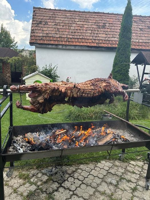 Inchiriez protap-rotisor electric!