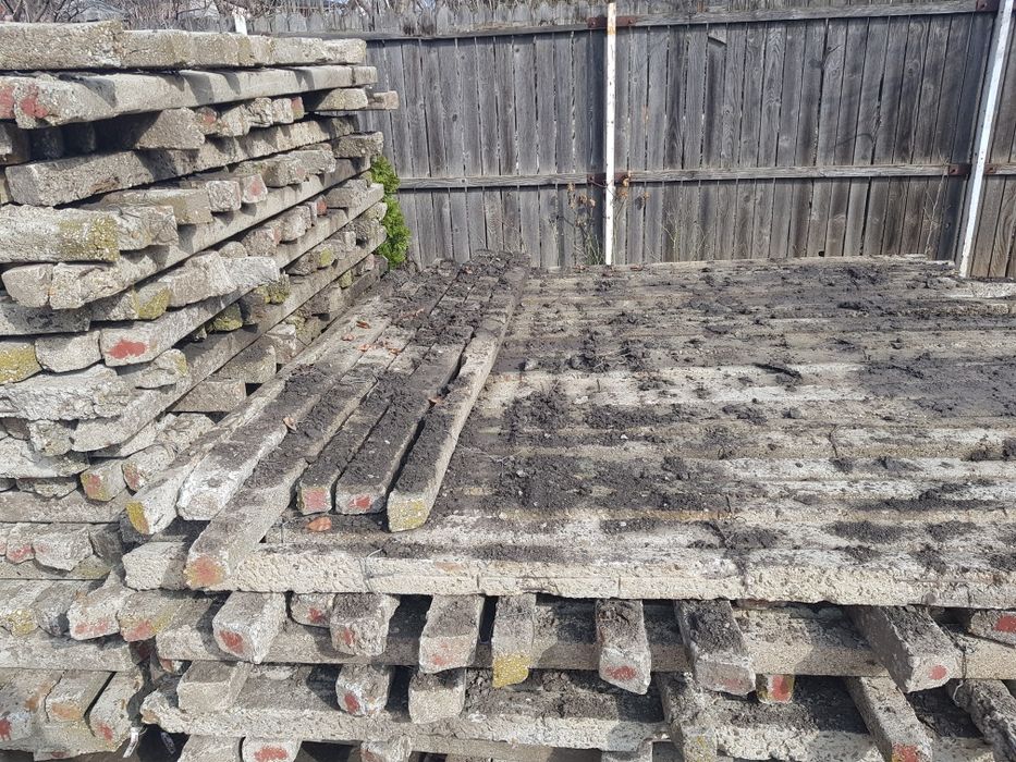 Spalieri de vie de gard din defisari