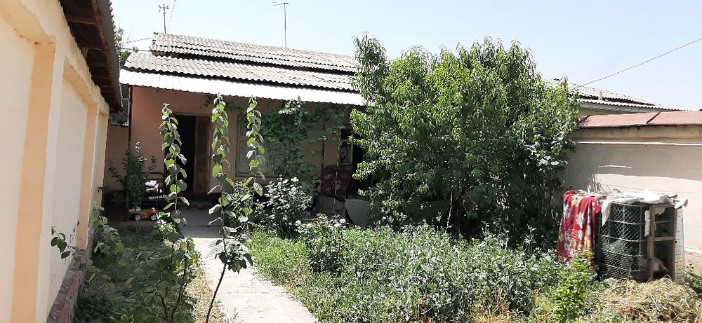 Kelesda uchastka . MIB  ko'chaga yetmasdan peshexod oldidigi ko'cha