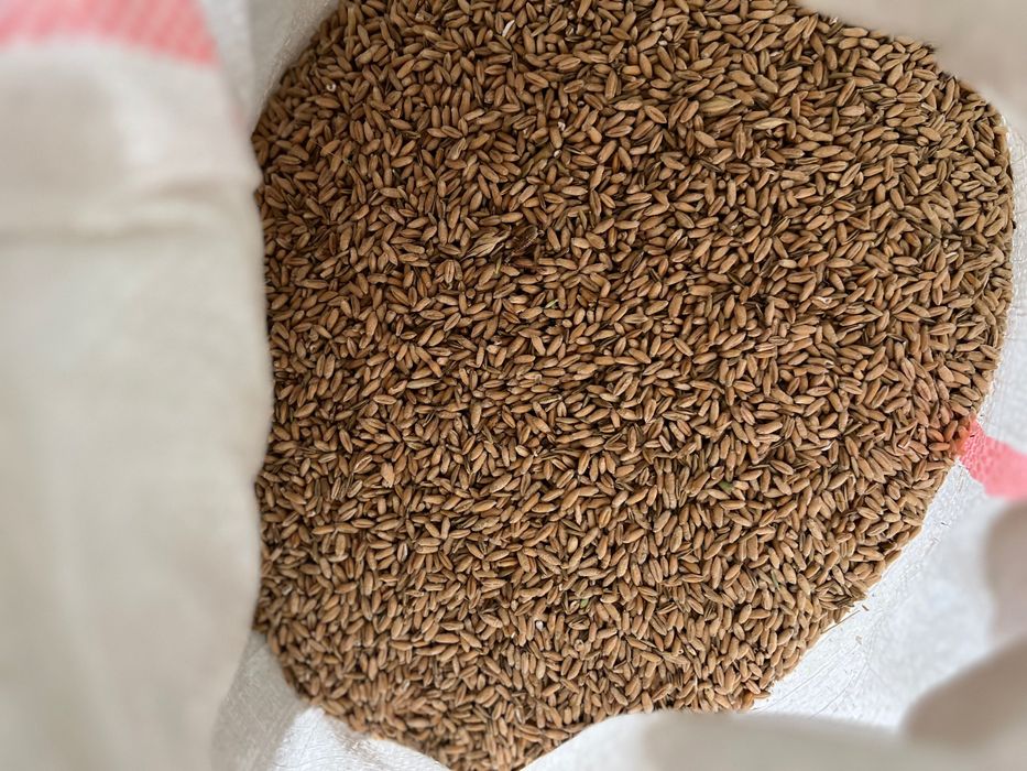 Furaj pentru animale de ferma!