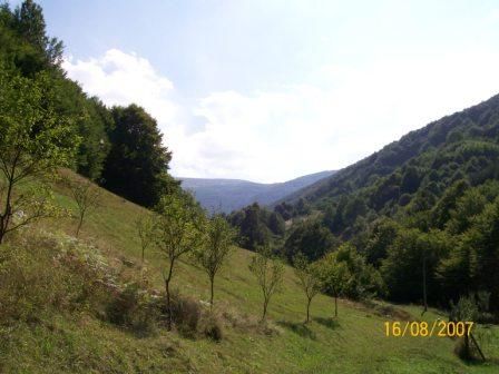 Продава се Земеделски имот в Троян -  кв.м за 7 €/дка - Снимка #5