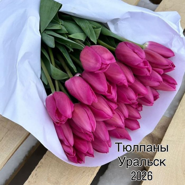 Тюльпаны Оптом Уральск
