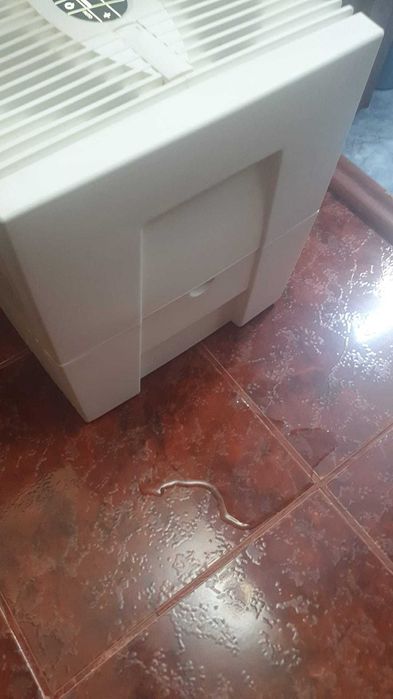 Umidificator aer Venta Lw 25