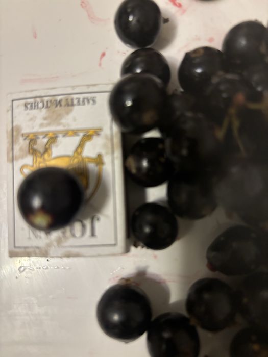 Дача Дачный участок Гудок