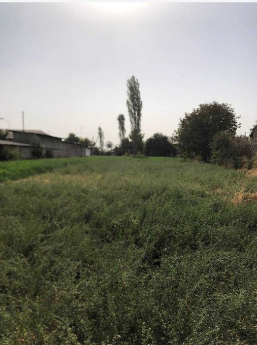 Uchastka yer maydoni sotiladi