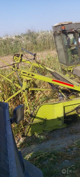 Fargona viloyati  Buvayda tumani begabod qishlogi