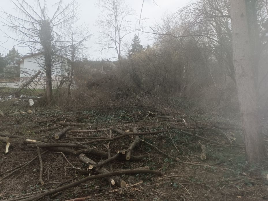 Почистване на парцели имоти дворове