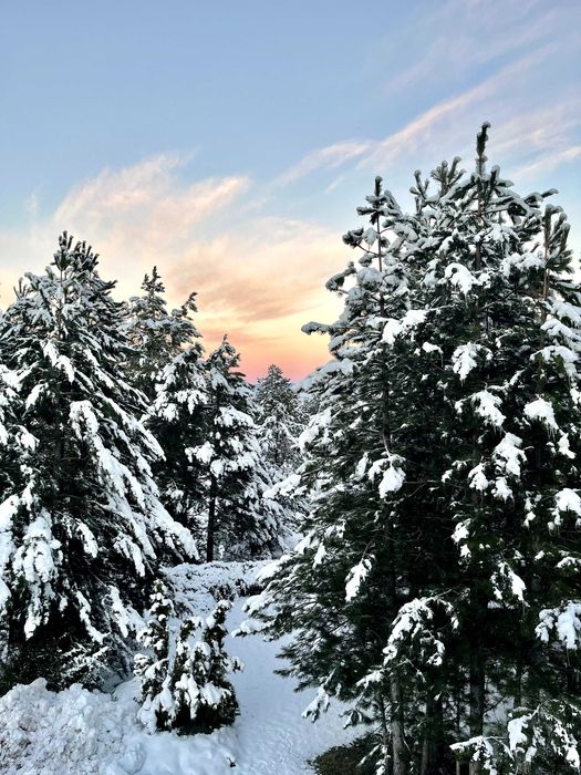 Tристаен апартамент под наем в Pirin Golf & Country Club