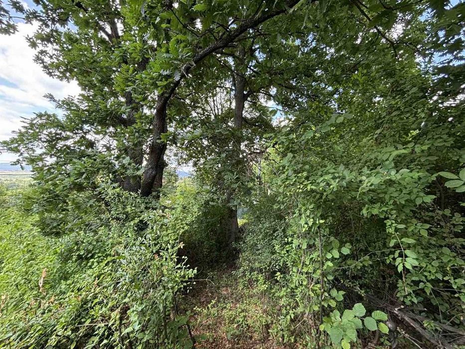 Продава парцел в регулация със страхотна гледка