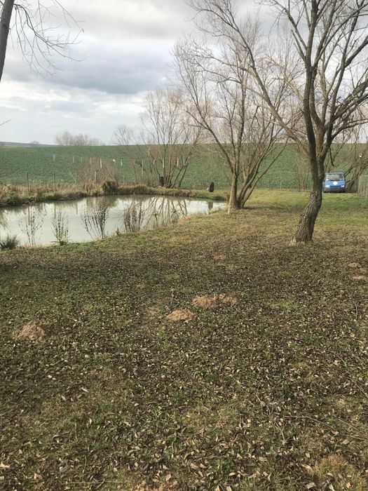 De vânzare baltă de pescuit