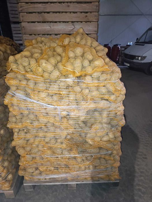 Cartofi din  Polonia