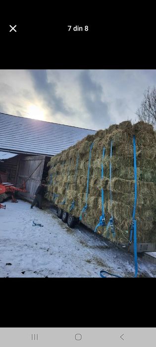 Baloti de fan de vanzare