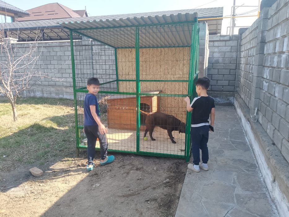 Вальеры для собак. На заказ. Доставка