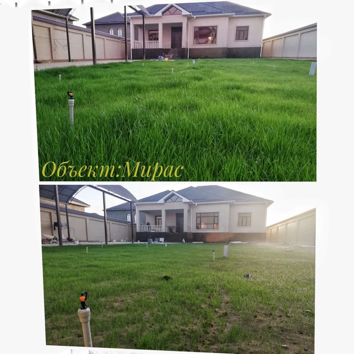 Авто полив газон