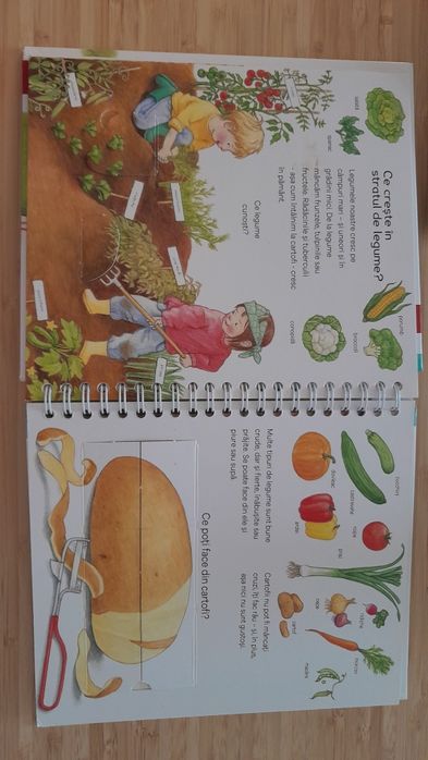 "Ce mancam" editura Casa