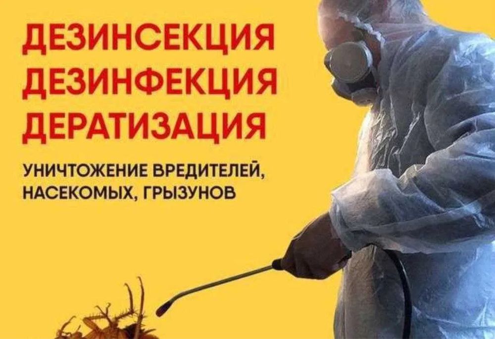 дезинфекция от тараканов 24/7