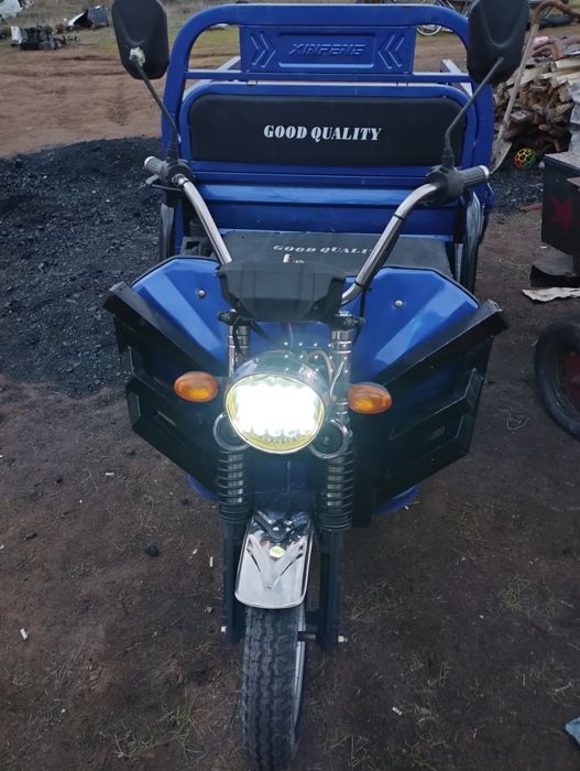 Продам 2 муравья недорого