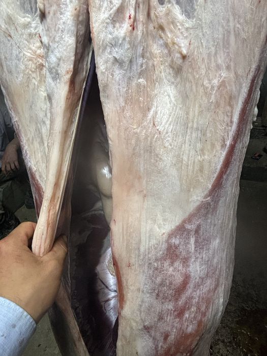 Семіз қой еті сатылады