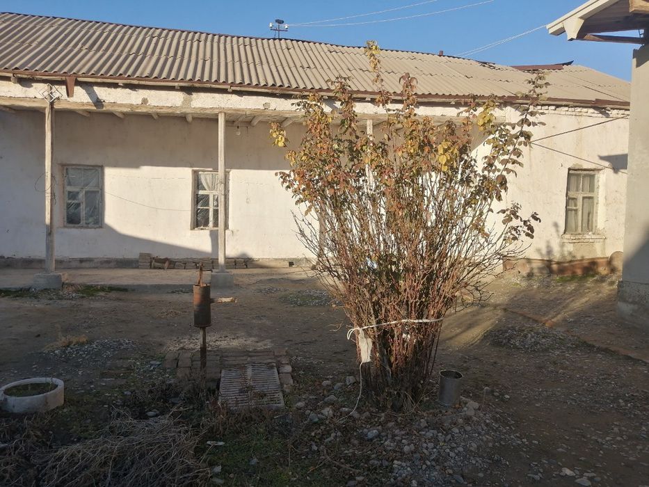 Иштихон туманида ховли сотилади