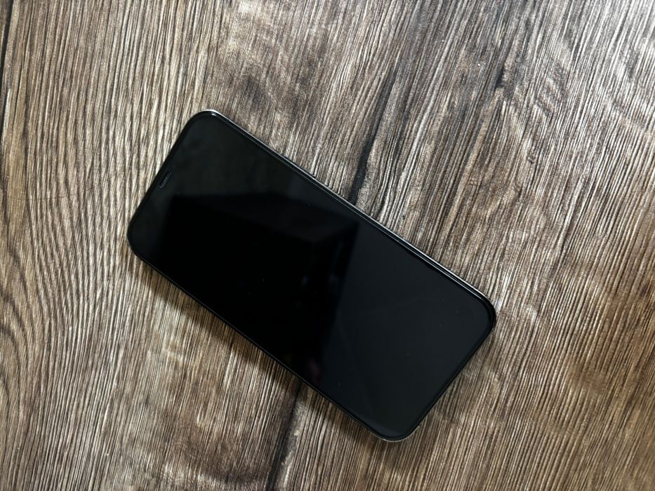 iPhone 12 pro max