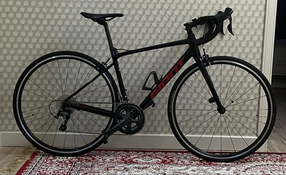 Giant Contend SL (2021)