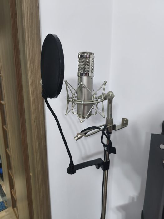 Microfon profesional de studio Warm Audio Wa47-jr