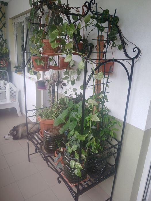 Bicicleta eliptica / pergolă / suporturi ghivece premium