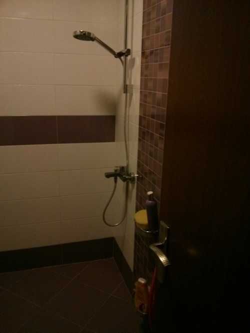 Дава се под наем Двустаен апартамент в София, Гео Милев - 76 кв.м за 423.81 € - Снимка #2