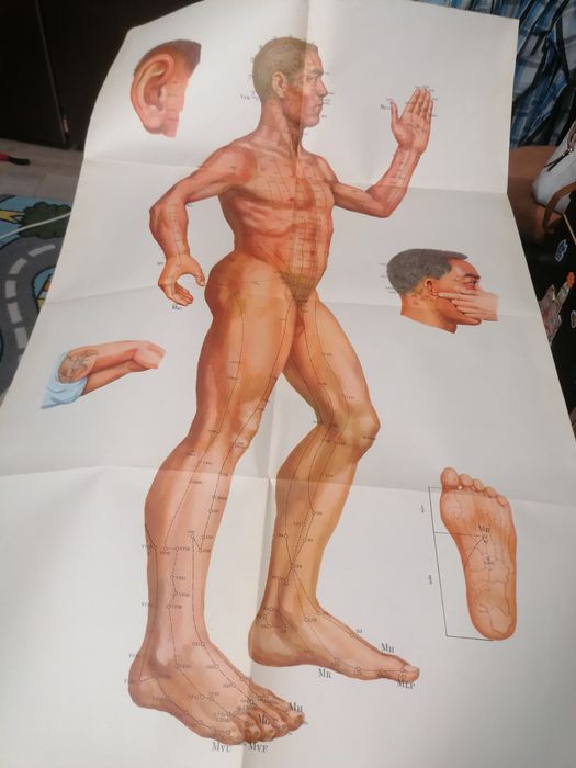 Carte acupunctură și cele 14 meridiane