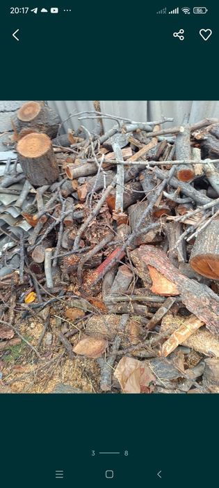 O'tin mevali daraxtniki  Qopda