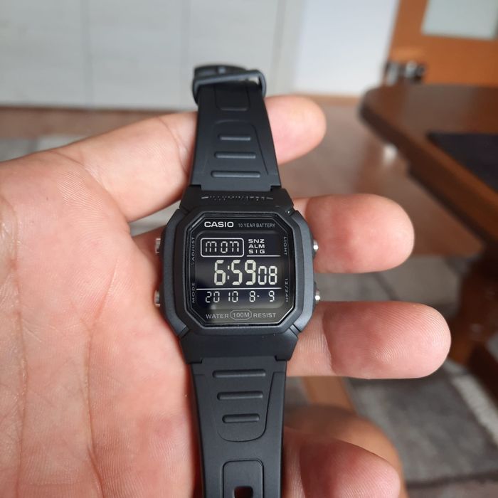 Casio       W800H