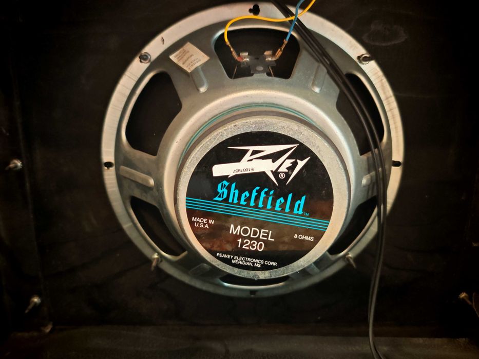 Peavey Bandit Silver Stripe