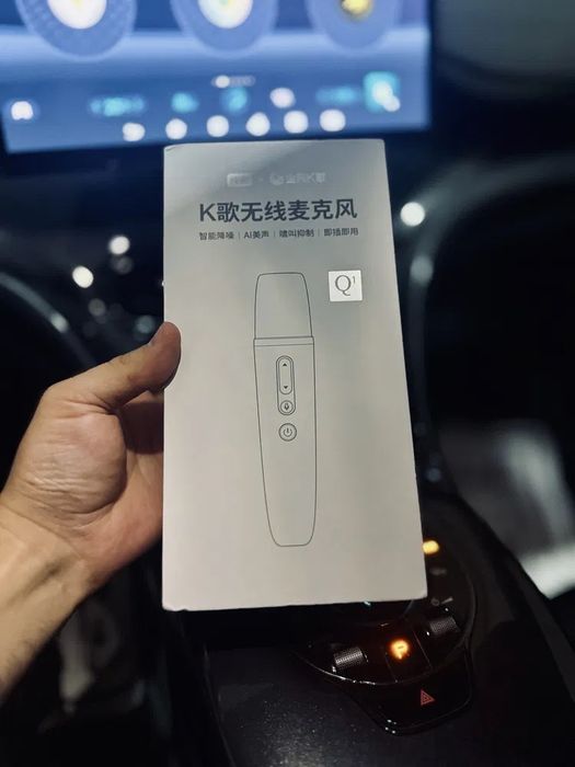 BYD karaoke mikrofon